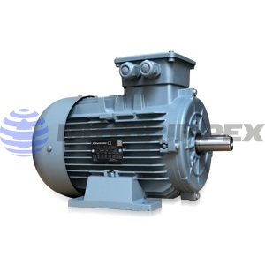 Трехфазные асинхронные электродвигатели серии D