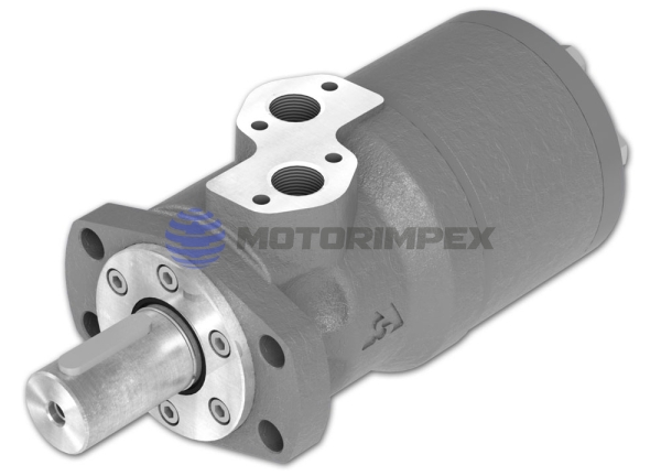 Гидромоторы героторные MLHH