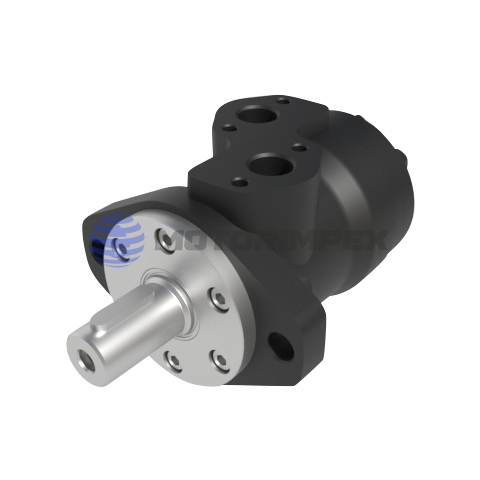 Гидромоторы героторные BMP