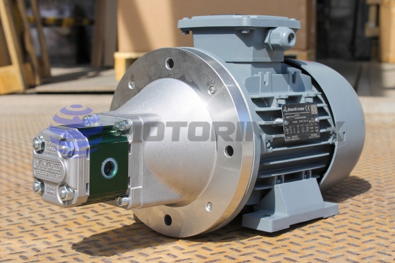 Pump-motor groups NMG