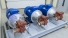 Pump-motor groups NMG