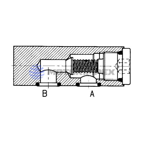 Обратные клапаны RVP