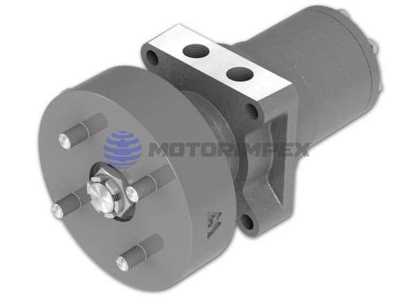 Гидромоторы героторные RWB