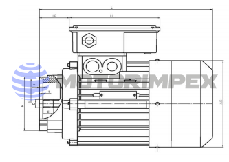 Трехфазные асинхронные электродвигатели KAT
