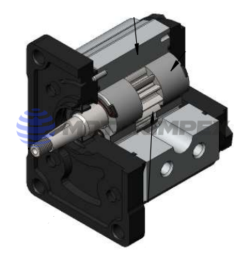 Гидромоторы шестерённые OT100 (группа 1)