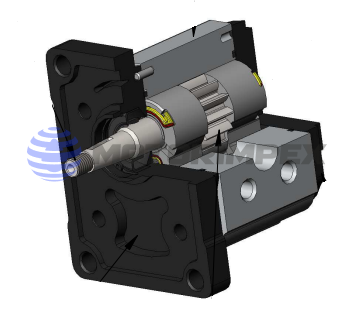 Гидромоторы шестерённые OT200 (группа 2)