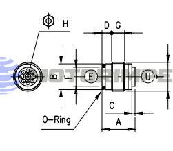 Check valves VUS
