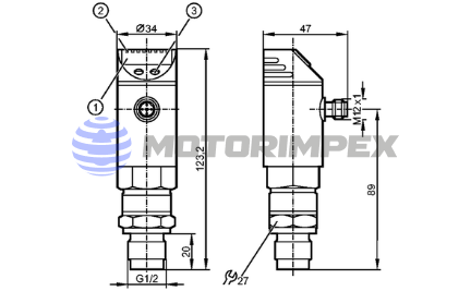 Programmable pressure switch PY2033 (display)