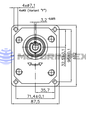 Гидромоторы шестерённые 20MR
