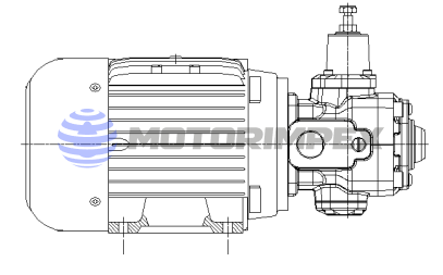 Насосно-моторные группы GMPX во взрывозащищенном исполнении (АТЕХ)