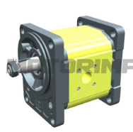 Насосы шестерённые входной секции XT217 (Ø80 Standard German FLANGE)