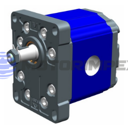 Гидромоторы шестерённые XV-3 (Ø50.8 FLANGE – BSPP ports)