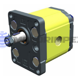 Гидромоторы шестерённые XV-2 (Ø36.5 FLANGE – BSPP ports)