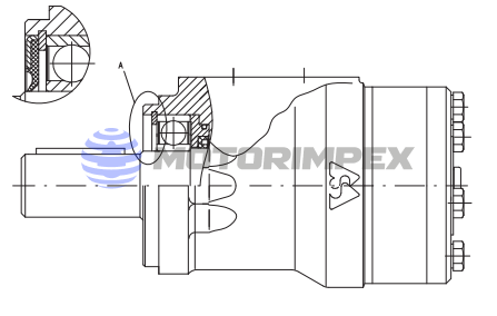 Гидромоторы героторные MRFL