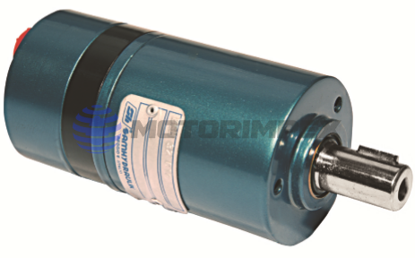 Гидромоторы героторные BGM