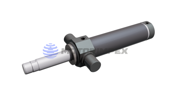 Гідроциліндри з цапфою